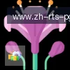PG模拟器 logo