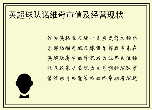 英超球队诺维奇市值及经营现状