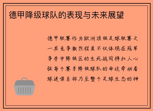 德甲降级球队的表现与未来展望